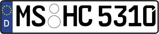 MS-HC5310