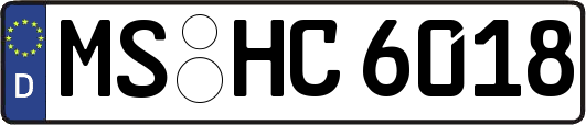 MS-HC6018