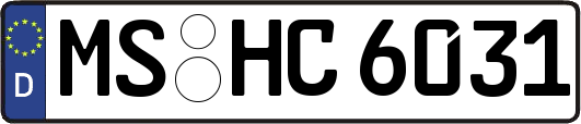 MS-HC6031