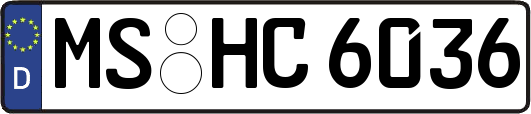 MS-HC6036