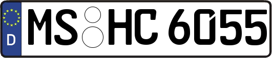MS-HC6055
