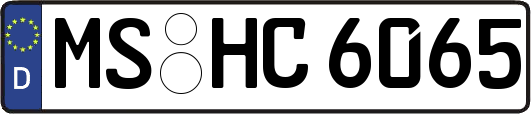 MS-HC6065