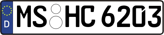 MS-HC6203