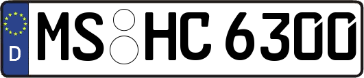 MS-HC6300