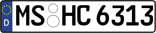 MS-HC6313