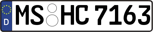 MS-HC7163