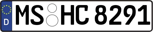 MS-HC8291