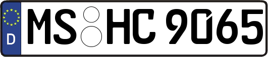 MS-HC9065