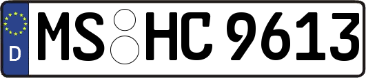 MS-HC9613