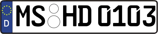 MS-HD0103