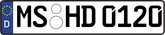 MS-HD0120