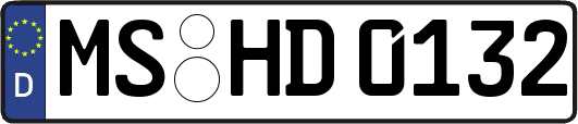 MS-HD0132