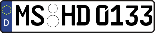 MS-HD0133