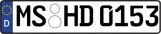 MS-HD0153