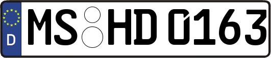 MS-HD0163