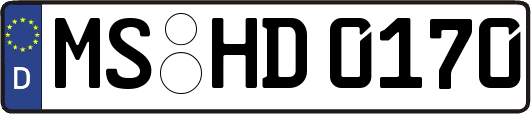 MS-HD0170