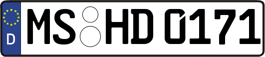 MS-HD0171