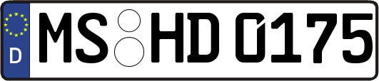 MS-HD0175