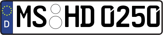 MS-HD0250