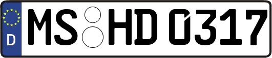 MS-HD0317