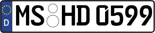 MS-HD0599