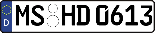 MS-HD0613