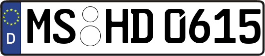 MS-HD0615