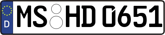 MS-HD0651