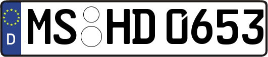 MS-HD0653