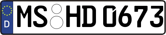 MS-HD0673