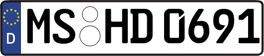 MS-HD0691
