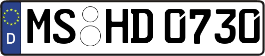MS-HD0730