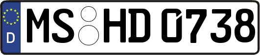 MS-HD0738