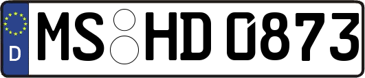 MS-HD0873