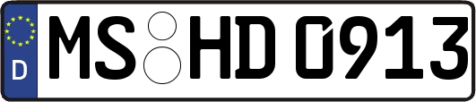 MS-HD0913