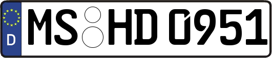 MS-HD0951