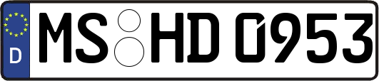 MS-HD0953