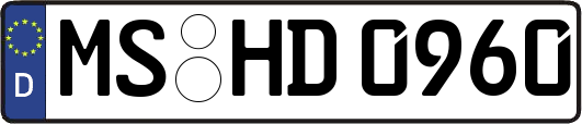 MS-HD0960