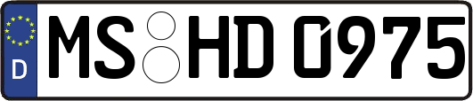 MS-HD0975