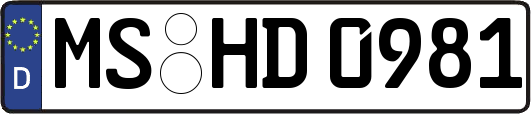 MS-HD0981