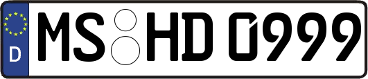 MS-HD0999