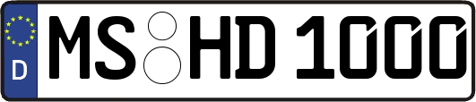 MS-HD1000