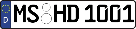 MS-HD1001