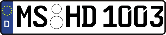 MS-HD1003
