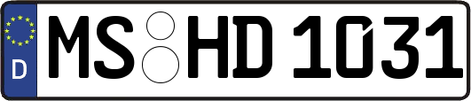 MS-HD1031