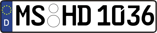 MS-HD1036