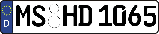 MS-HD1065