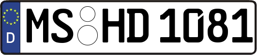 MS-HD1081
