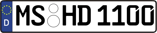 MS-HD1100