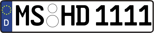 MS-HD1111